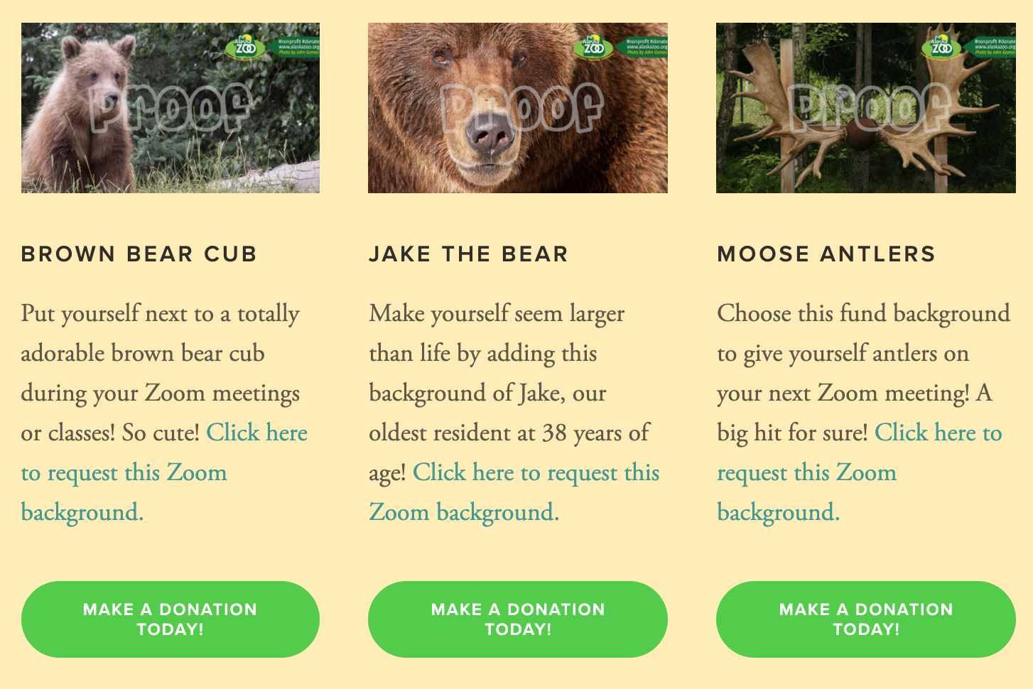 Alaska Zoo Zoom Background Options